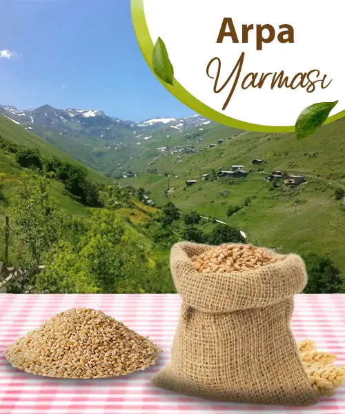 Arpa Yarması 