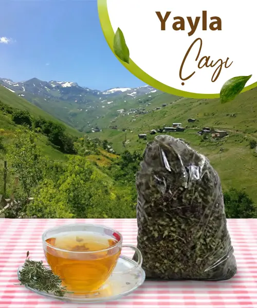 Yayla Çayı 